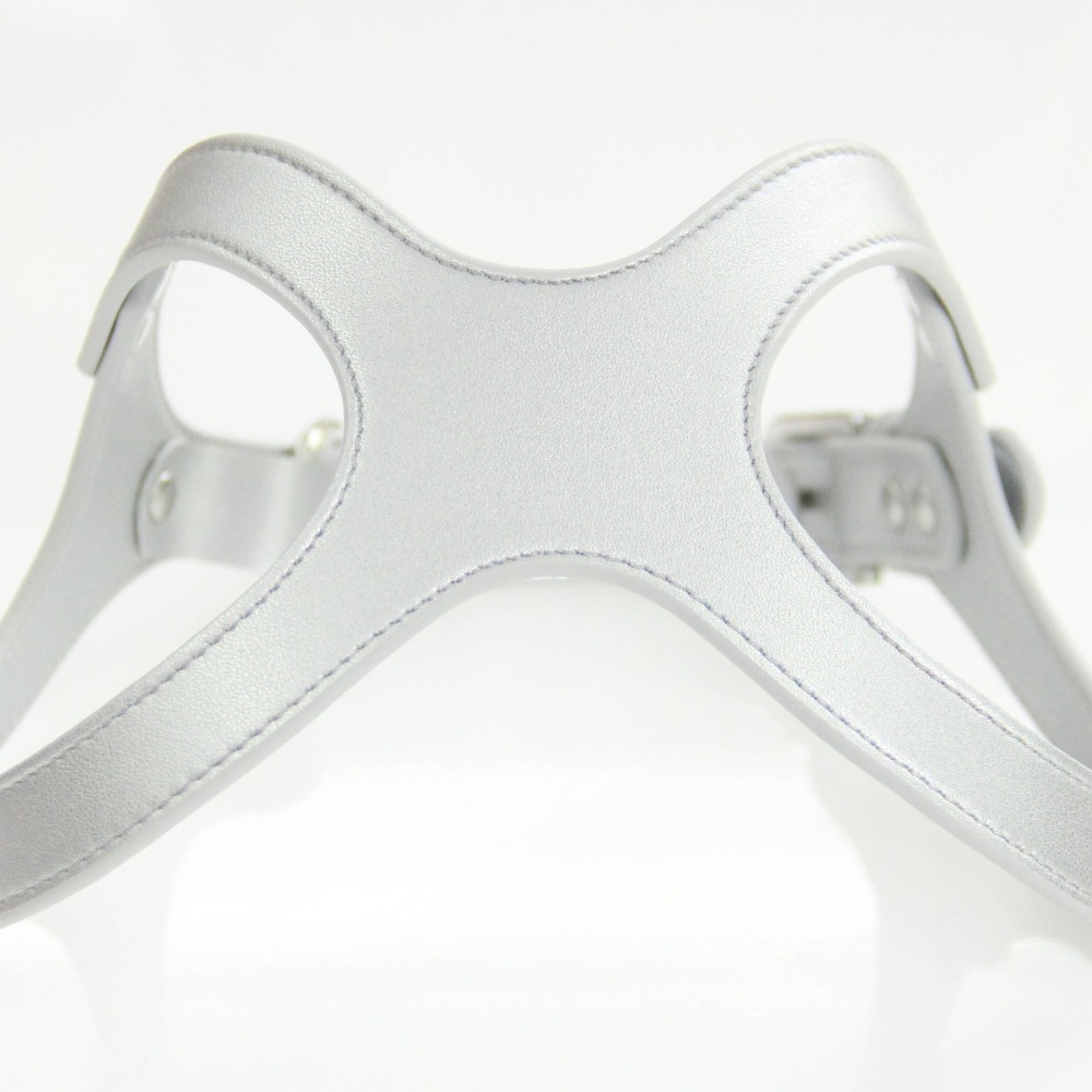 To Beg for Accessories and Treats Premium Vegan Dog Harness Size Large